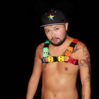 Lark Rainbow Pride