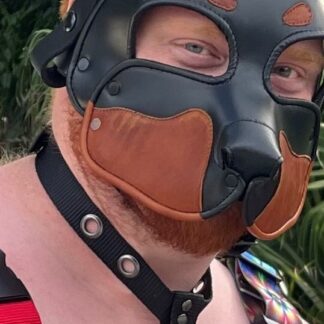Command Collar