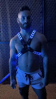 Breedwell Rave Cross Harness